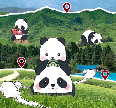 Ȥ | ʱXPanda Roll ƿС